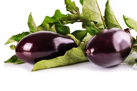 茄子提取物 紫茄浓缩粉 水溶性 可造粒 SC源头工厂现货供应-阿里巴巴