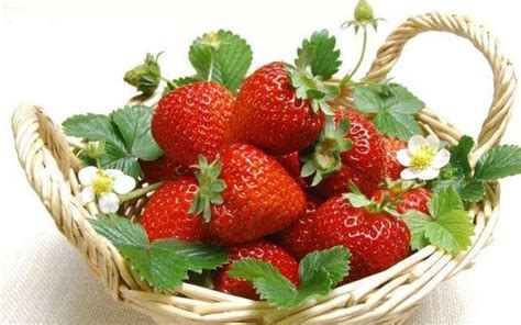 草莓底图图片_草莓底图设计素材_红动中国