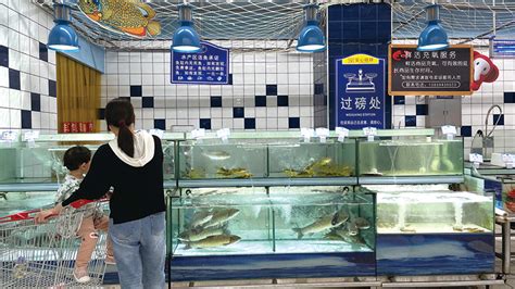 水产品交易整体走势平稳，鱼价短期或难回落_社会民生_浏阳网