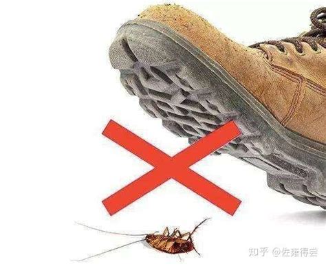 蟑螂为什么不能用脚踩（蟑螂被踩死后竟然会有这么多的危害，看过以后再也不敢用脚踩了） | 说明书网