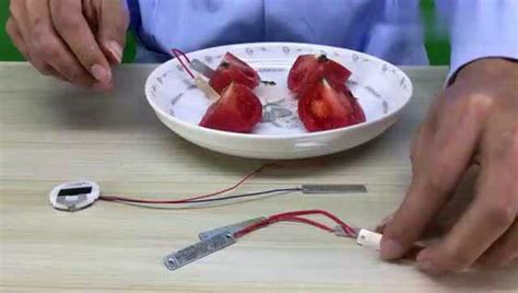 水果电池实验