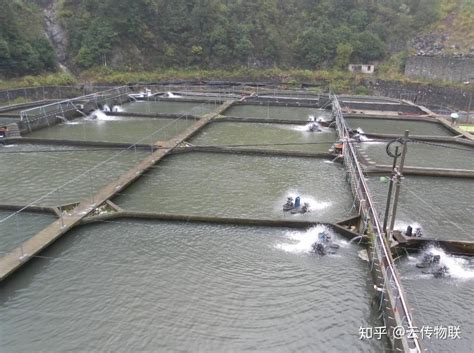 水产养殖水质检测的项目，水产养殖使用贯奥25参数水质检测仪的优势