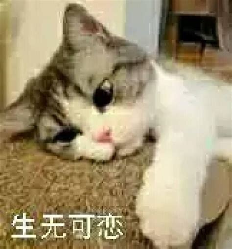 糟心的图片
