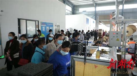 江华：组织务工人员进企业选岗 搭建面对面就业桥梁 - 永州 - 新湖南