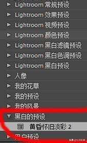 lightroom如何将照片批量导入-lr批量导入图片的方法教程 - 极光下载站