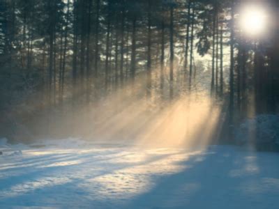 冬季雪地和太阳光图片-包图网