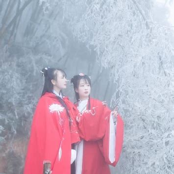 冰雪系古风华丽女生头像