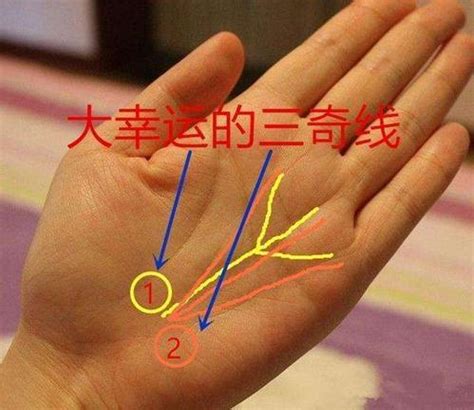 手相没有成功线代表什么 手相四条线代表什么-周易算命网