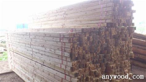 木材市场杉木价格行情【2016年6月8日】 - 木材价格 - 批木网