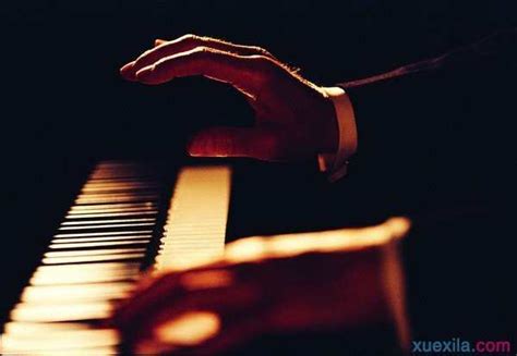 钢琴学习神器，手把手教你如何弹钢琴~ - 知乎