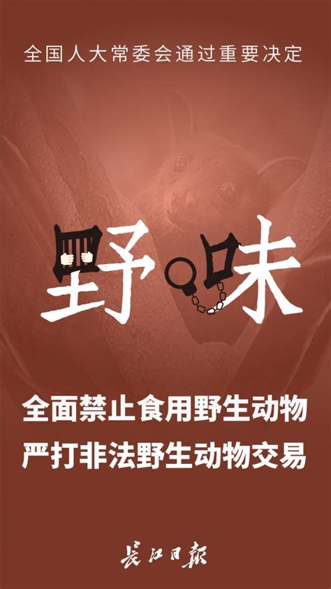 海报 | 全面禁止食用野生动物_武汉_新闻中心_长江网_cjn.cn