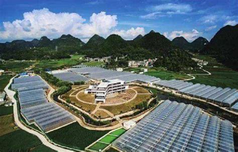 贵州安顺市市领导到中国（安顺）石材城调研，推动产业向高端化、集群化发展！_139石材网