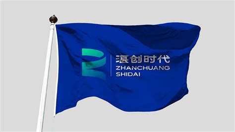 湛江新能源企业logo升级_柒文鱼-站酷ZCOOL