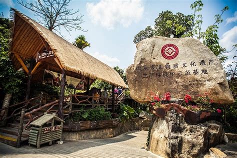 探访槟榔谷，了解海南人文文化历史，游玩项目众多|海南|槟榔谷|景区_新浪新闻