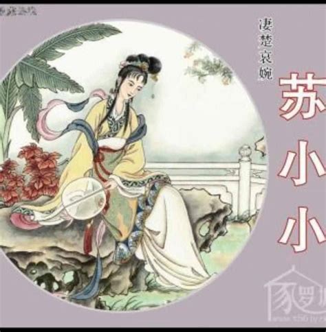 小小苏图片