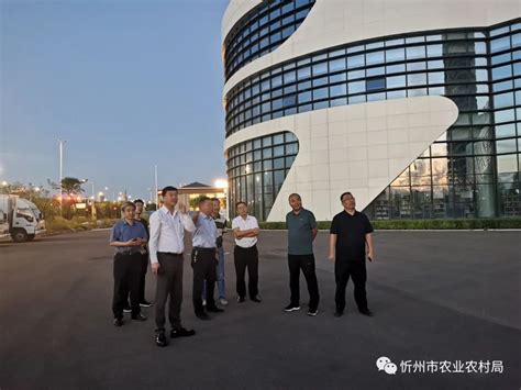 忻州市商务局网站_站长导航收录展示