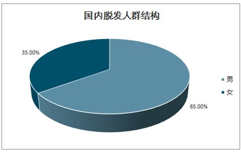 假发市场分析报告_2021-2027年中国假发市场研究与市场全景评估报告_中国产业研究报告网