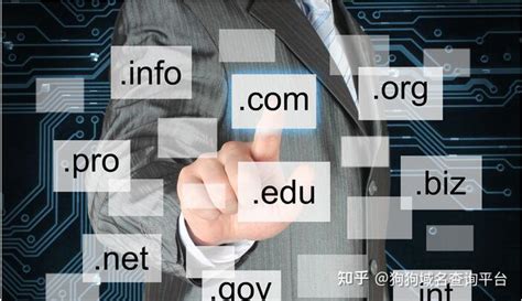 中文域名注册哪里实惠些-服务器知识