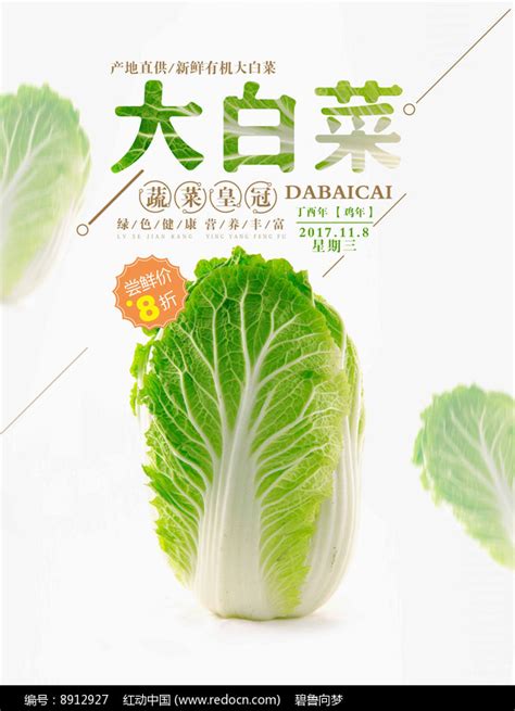 大白菜促销活动宣传海报图片下载_红动中国