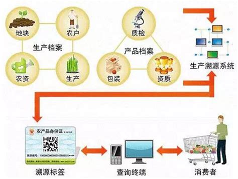 互联网农业项目运营策划书，如何做好农产品电商平台运营方案