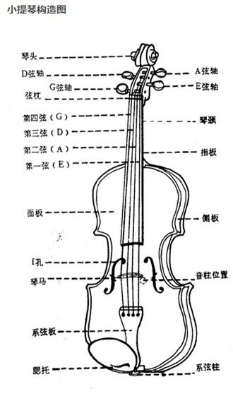古琴常用音位图_乐器百科_中音在线