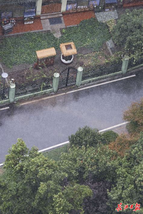 科学网—武汉大雨。。2016年7月6日记录。。 - 潘春旭的博文
