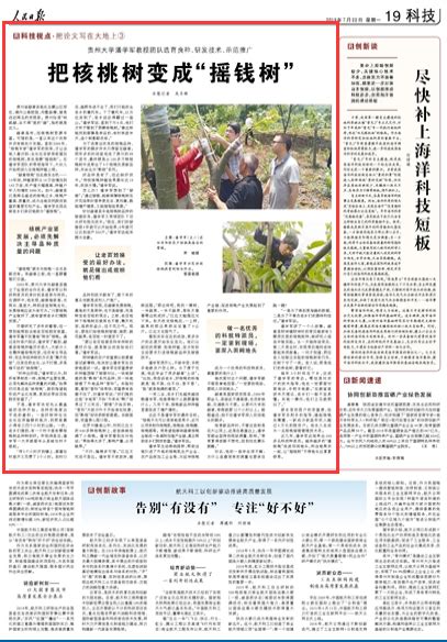 《人民日报》聚焦贵州这个团队：把核桃树变成了“摇钱树” - 当代先锋网 - 要闻