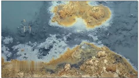 墨西哥湾海底“死亡之湖” 误闯禁区生物遭秒杀 - 神秘的地球 科学|自然|地理|探索