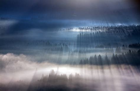 有雾的风景晨雾高清图片下载-正版图片503197174-摄图网
