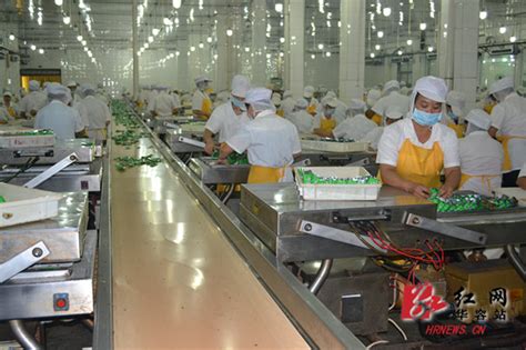 华容县蔬菜加工年产值达53亿