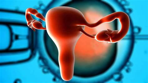 干细胞治疗卵巢早衰，4种途径恢复卵巢功能 - 知乎