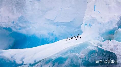 普通人去南极、北极户外探险要花多少钱？费用详解-探路驴
