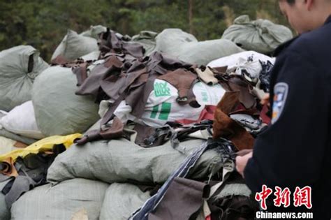 广西中越边境查获走私案 查扣“洋垃圾”逾26吨_健康_环球网