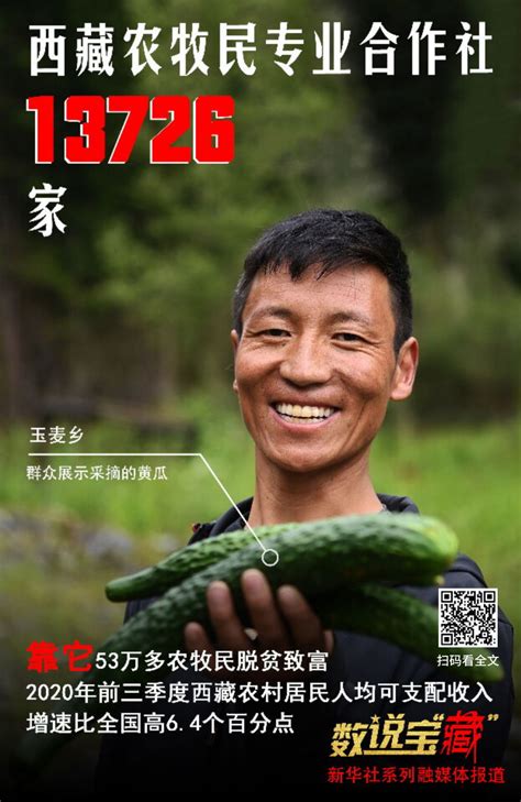 从这组数说宝“藏”海报，看西藏今日幸福生活_深圳新闻网
