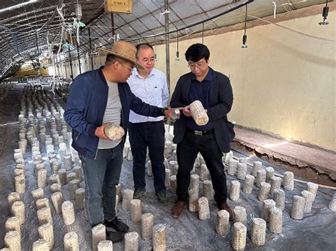 市农科院院领导带队赴西藏昌都开展科技援助项目对接工作_行业动态