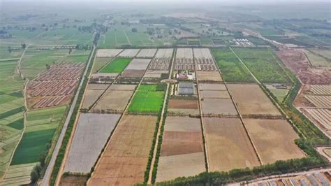 新农创模式为河北清河县乡村振兴注入新动力 - 新农创投资运营平台