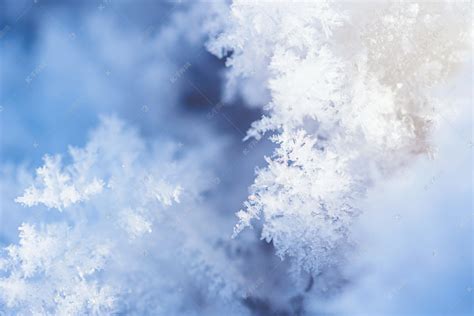 雪花形状冰晶白色积雪摄影图高清摄影大图-千库网