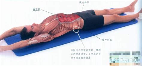 最详细肌肉拉伸教程三：腰腹部拉伸 - 知乎