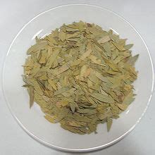 泻叶图片