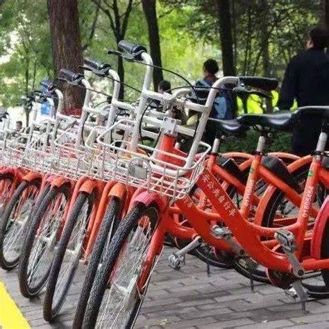 各共享单车、公共自行车客服电话及官网_三思经验网