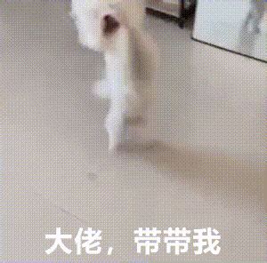 带我求带表情包图片