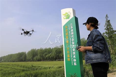 江苏东台：致力乡村振兴的“新农人”-人民图片网