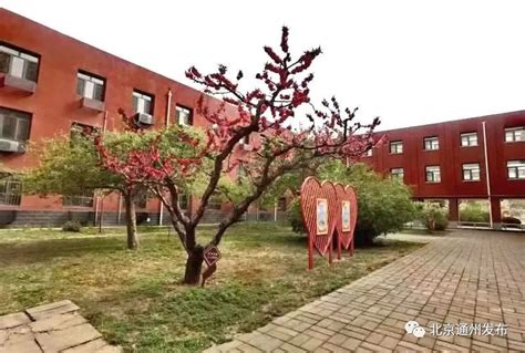 美上天了！北京五中通州校区启用了，这个学校跟它合并了