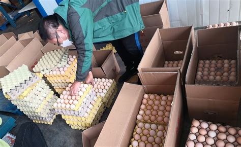 2019年中国蛋鸡存栏量、鲜鸡蛋产量及鲜鸡蛋出口问题与对策分析[图]_智研咨询