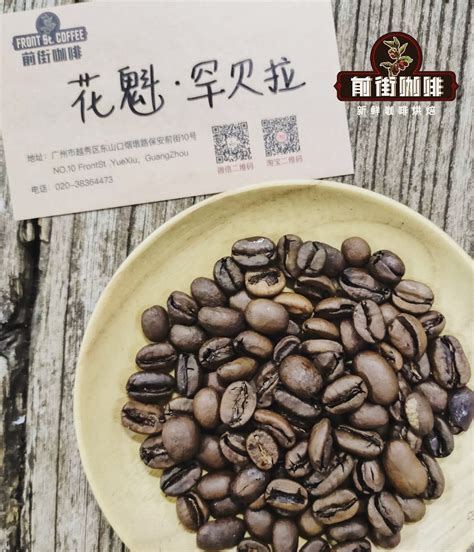 西达摩和耶加雪菲咖啡豆区别 西达摩咖啡风味描述口感处理法介绍 中国咖啡网