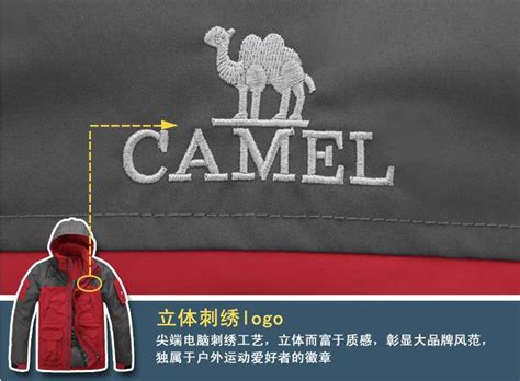 世界十大顶级户外品牌排行榜 骆驼上榜，第一是美国品牌_排行榜123网