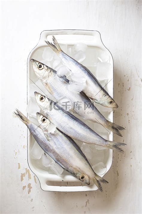 冰鲜新鲜生的沙丁鱼高清摄影大图-千库网