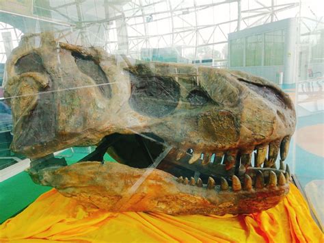 2023诸城恐龙博物馆游玩攻略,...诸城市区内发现恐龙化石的...【去哪儿攻略】