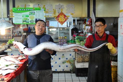 青岛渔民捕获近两米长重45斤巨型海鳗鱼 - 神秘的地球 科学|自然|地理|探索