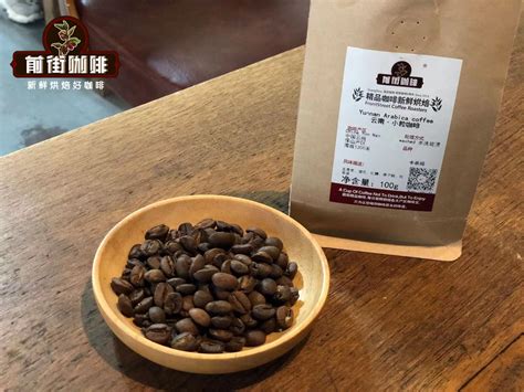 中国云南咖啡崛起走向精品咖啡之路，有何特点和优势？ 中国咖啡网